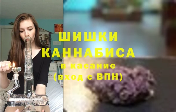 гидра Кинешма