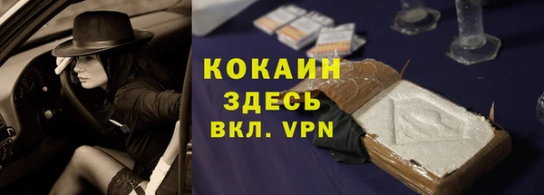 амф Коряжма