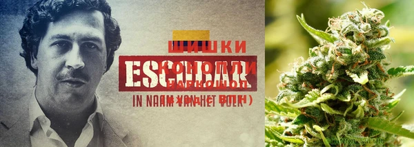 кокс Киренск