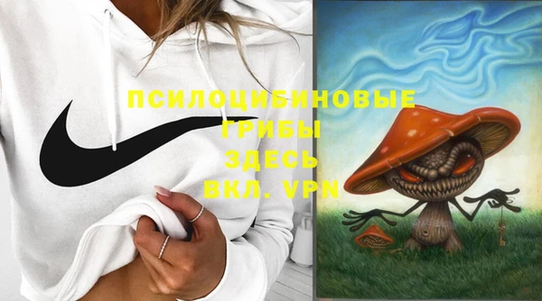 амф Коряжма