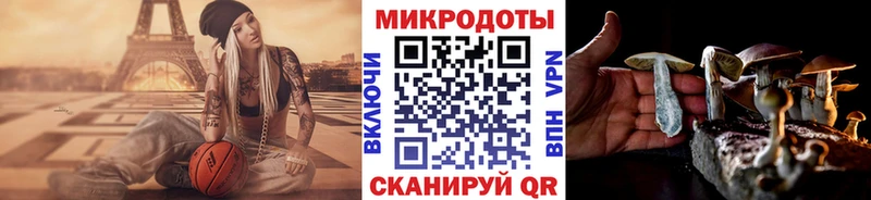 Купить  Аткарск  Псилоцибиновые грибы MAGIC MUSHROOMS 