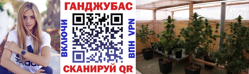 Бошки марихуана Bruce Banner  Купить где  Аткарск 